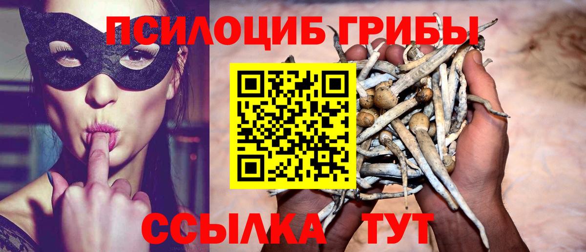 Алексин  закладка  Вход с VPN  Галлюциногенные грибы Magic Shrooms 